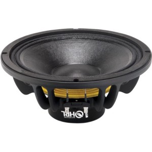 HP néodyme 10'' 300W RMS...
