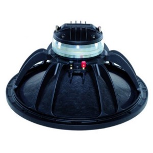 HP coaxial néodyme 15''...