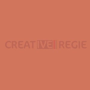 017 Surprise Peach  - Tarif / Devis