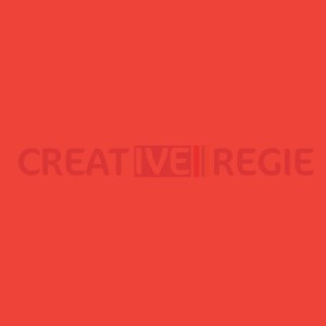 019 Fire  - Tarif / Devis