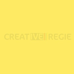 Rosco E-Color - 102 Light...